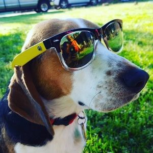 Meet your Posher, Madison